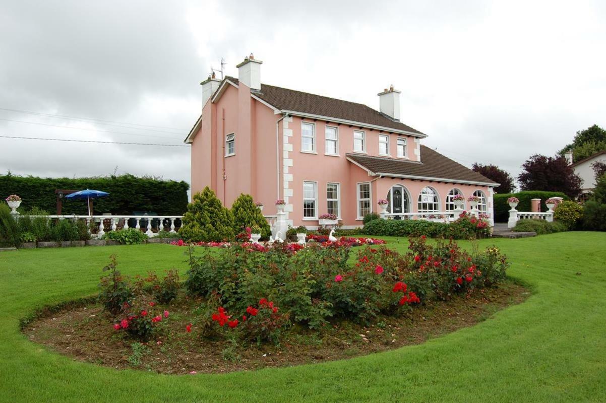 Ballingowan House Newcastle West Eksteriør bilde